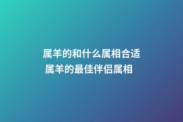 属羊的和什么属相合适 属羊的最佳伴侣属相-第1张-观点-玄机派